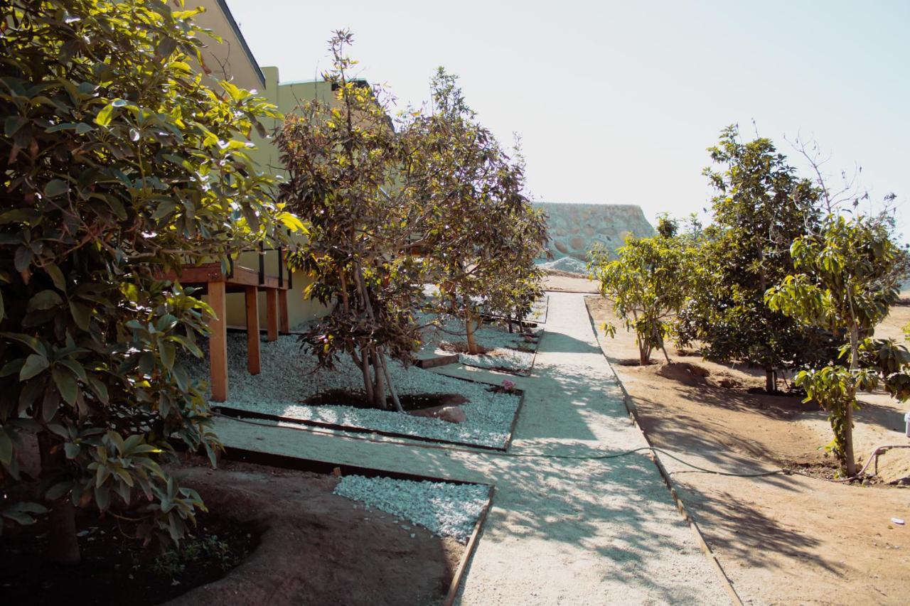 Palta 60 Valle De Guadalupe Guest House Exterior photo