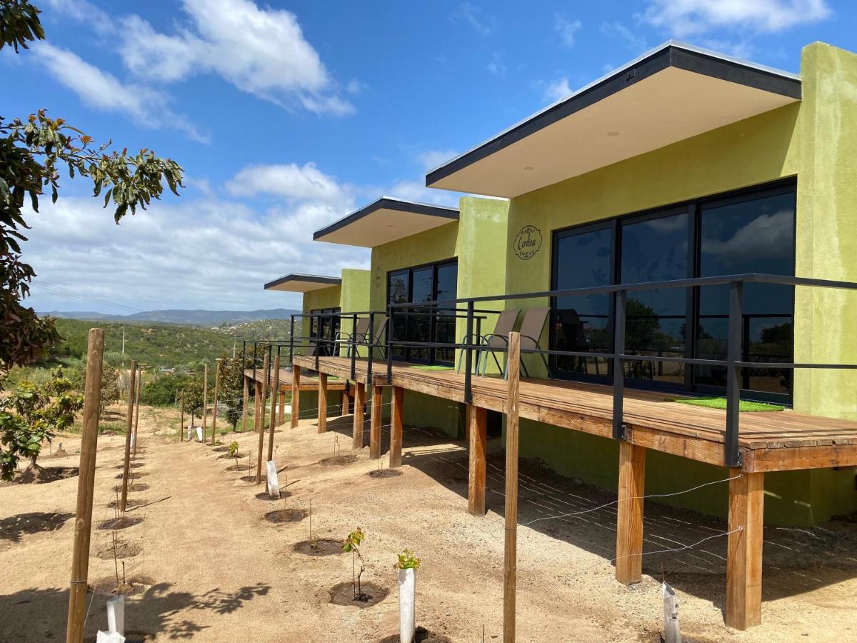 Palta 60 Valle De Guadalupe Guest House Exterior photo